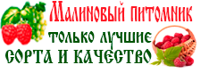 logo new3