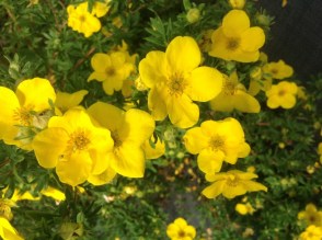 image128